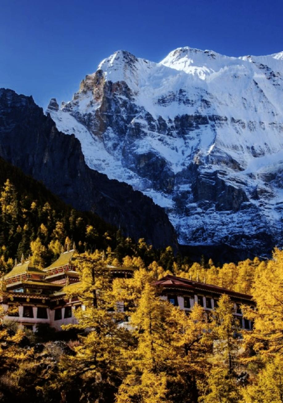 一段很通透的话：“从某种意义上来看，世间一切，都是遇见。就像，冷遇见暖，就有了