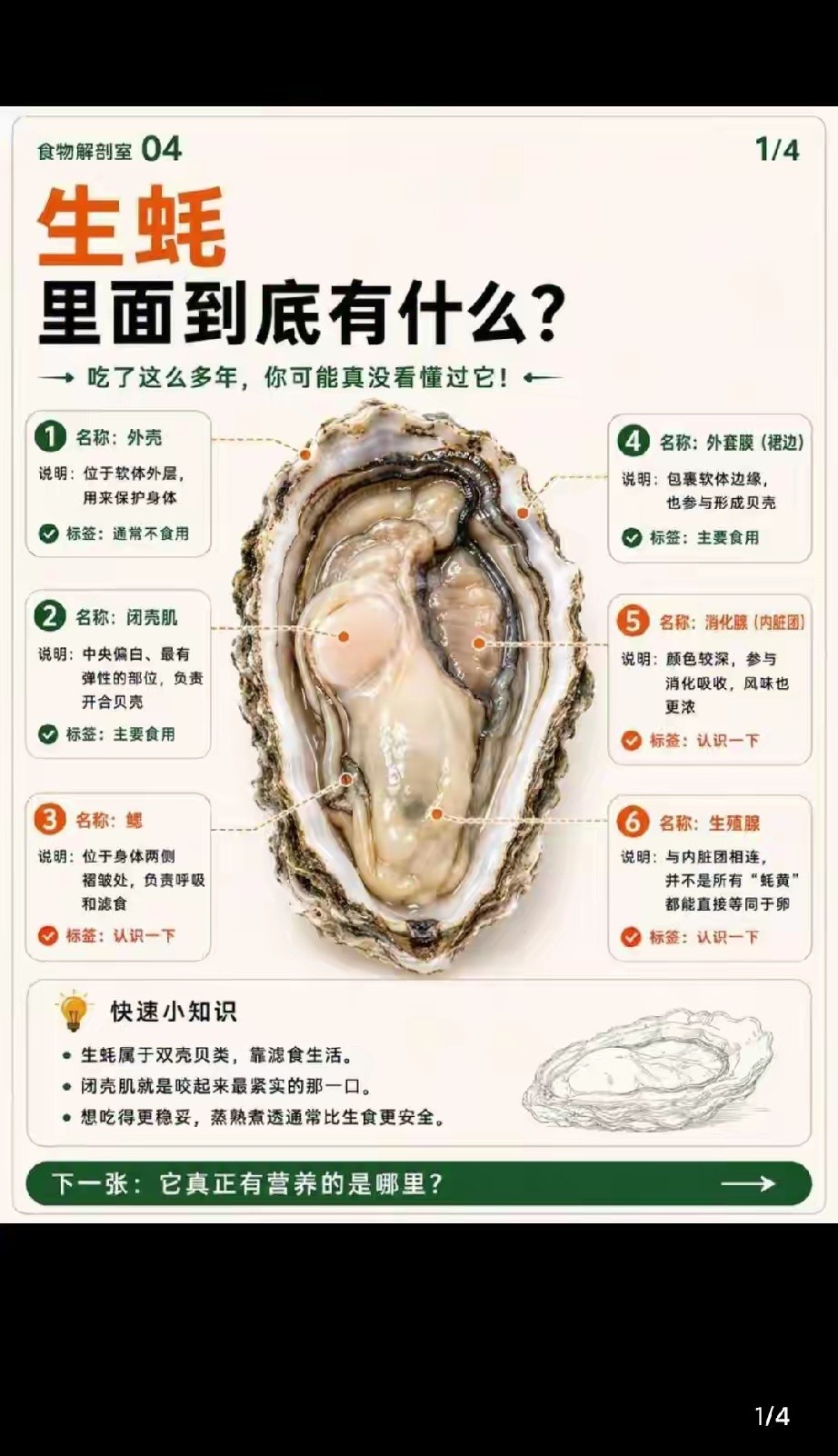 中医说脾胃好了人就变漂亮了为什么我不爱吃这个​​​