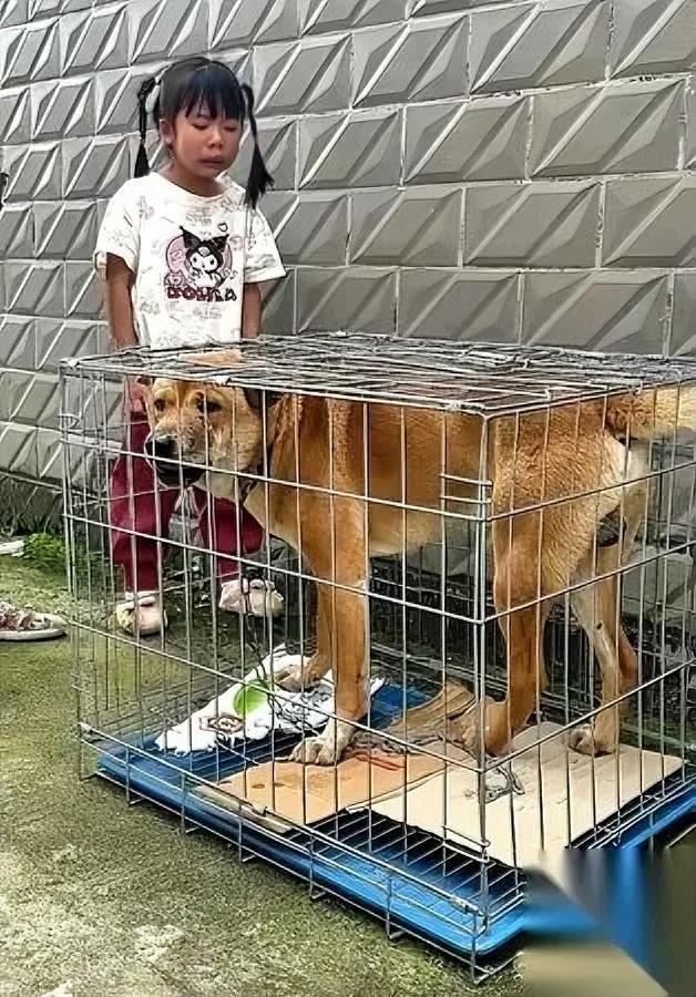 桂林这事儿真的看哭我我还是头回见做买卖主动亏200的。本来老奶奶凑活