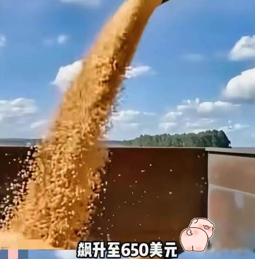 这些伎俩我们5000年前就见过了!!破解巴西大豆涨价,根本不用打大动干戈,只需