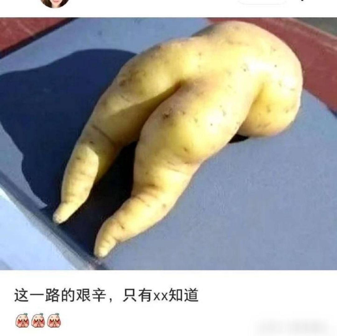 哈哈哈哈哈哈哈哈哈哈谁做的！！哈哈哈