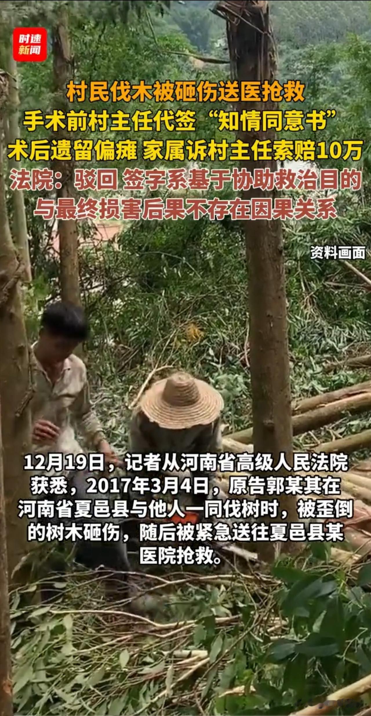 “判的漂亮！”河南夏邑，一村民伐树被砸成重伤，村主任好心签字手术，事后却被索赔1