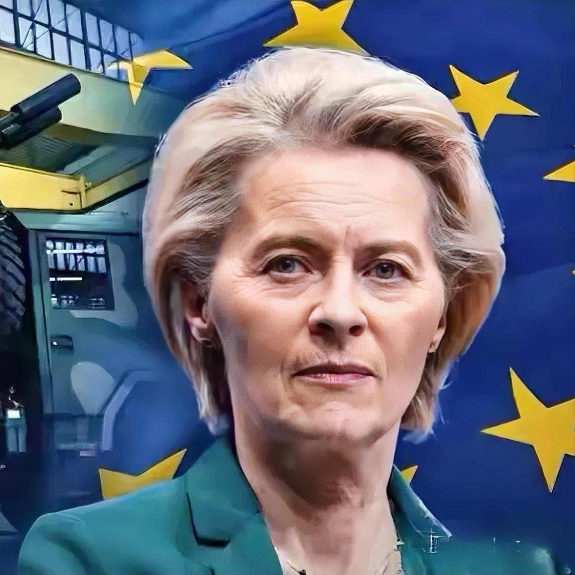 欧盟对我们的这则“禁令”一出，国内不少网友忙说“谢谢”！欧盟宣布：禁止中国参