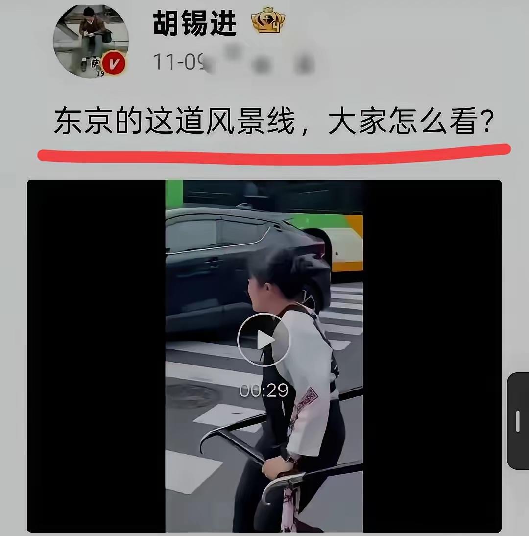 资深媒体人胡锡进对东京女人力车夫的评论！！胡总作为著名的评论家，一向评论某事件