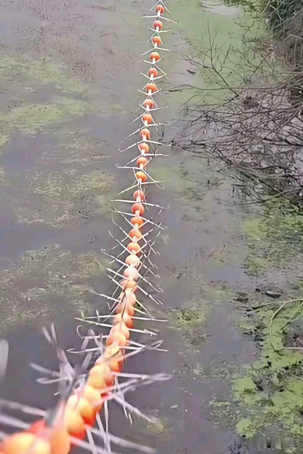 这个拿去钓鱼不得缝纫机踩冒烟