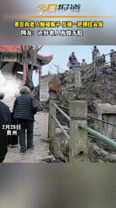 真的别再随便招惹景区里的猴子了，很多教训还不够醒人吗？猴子安安静静待在石柱