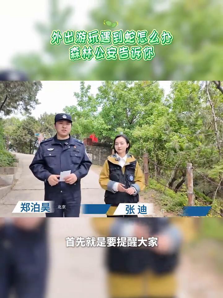 外出游玩遇到蛇怎么办？森林公安告诉你。中国警察网主持人郑泊昊。首先要提醒大家