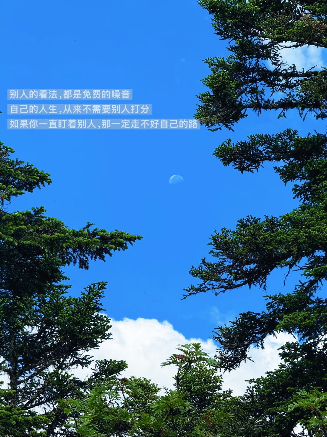 我发现身边高段位的女生都有一个特质