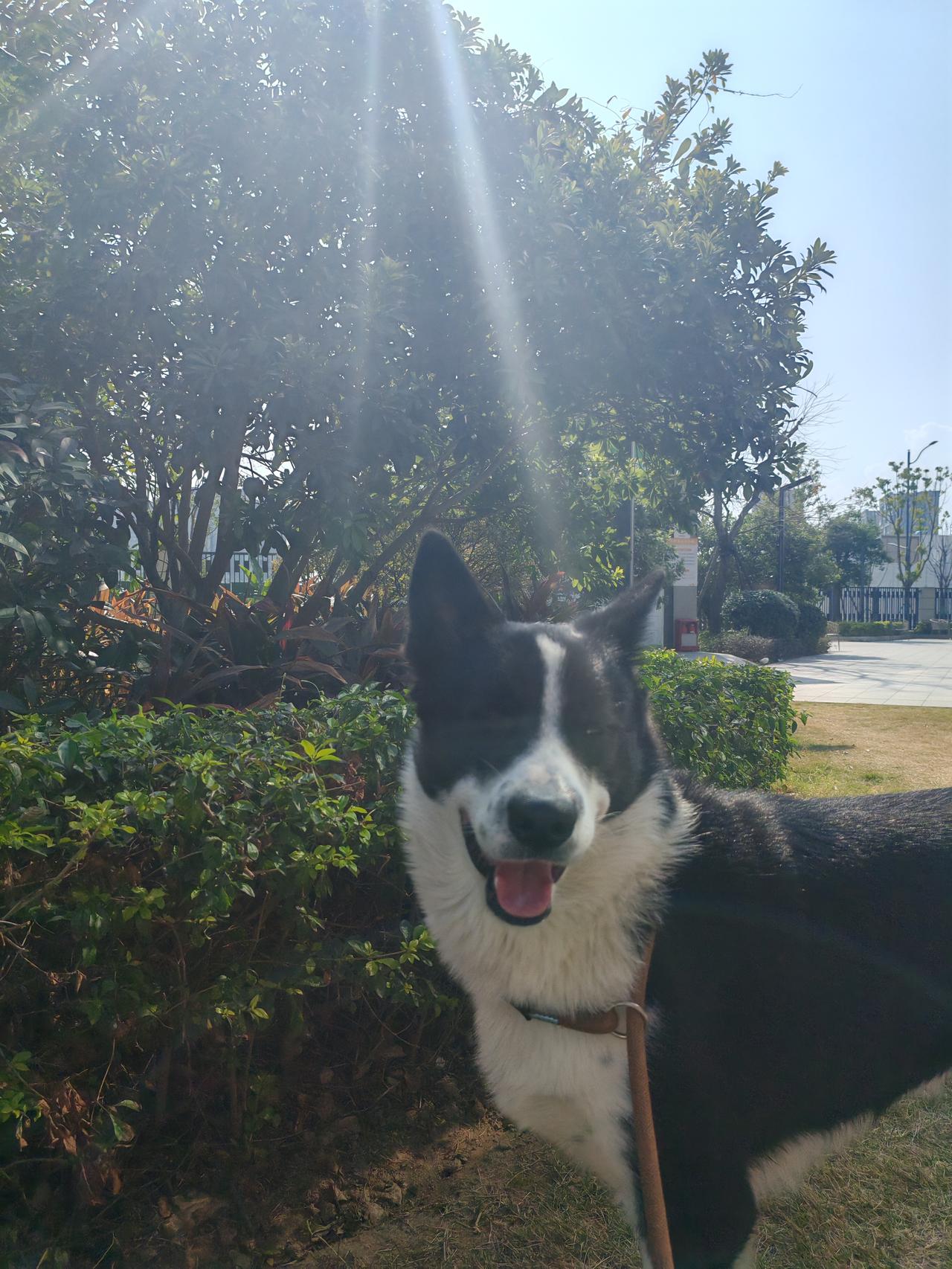 商业航天打出了板块辨识度，全天全行业成交量放大1500亿至2.5万亿。消息源于2