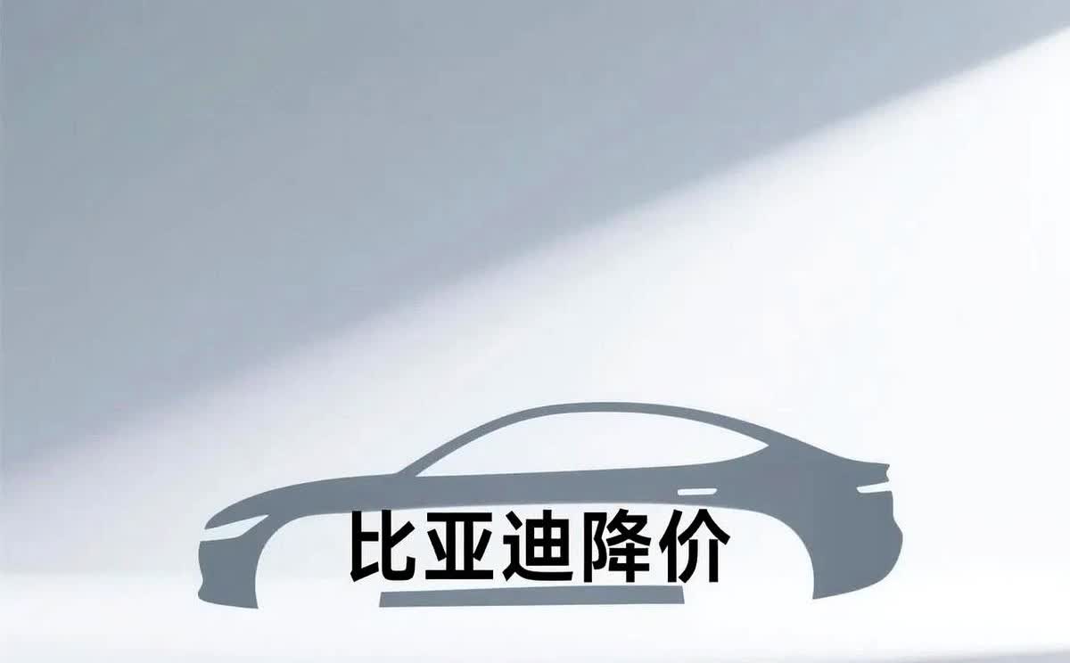 大家有没有发现一个问题。比亚迪虽然两个月三次降价促销。但是都只是