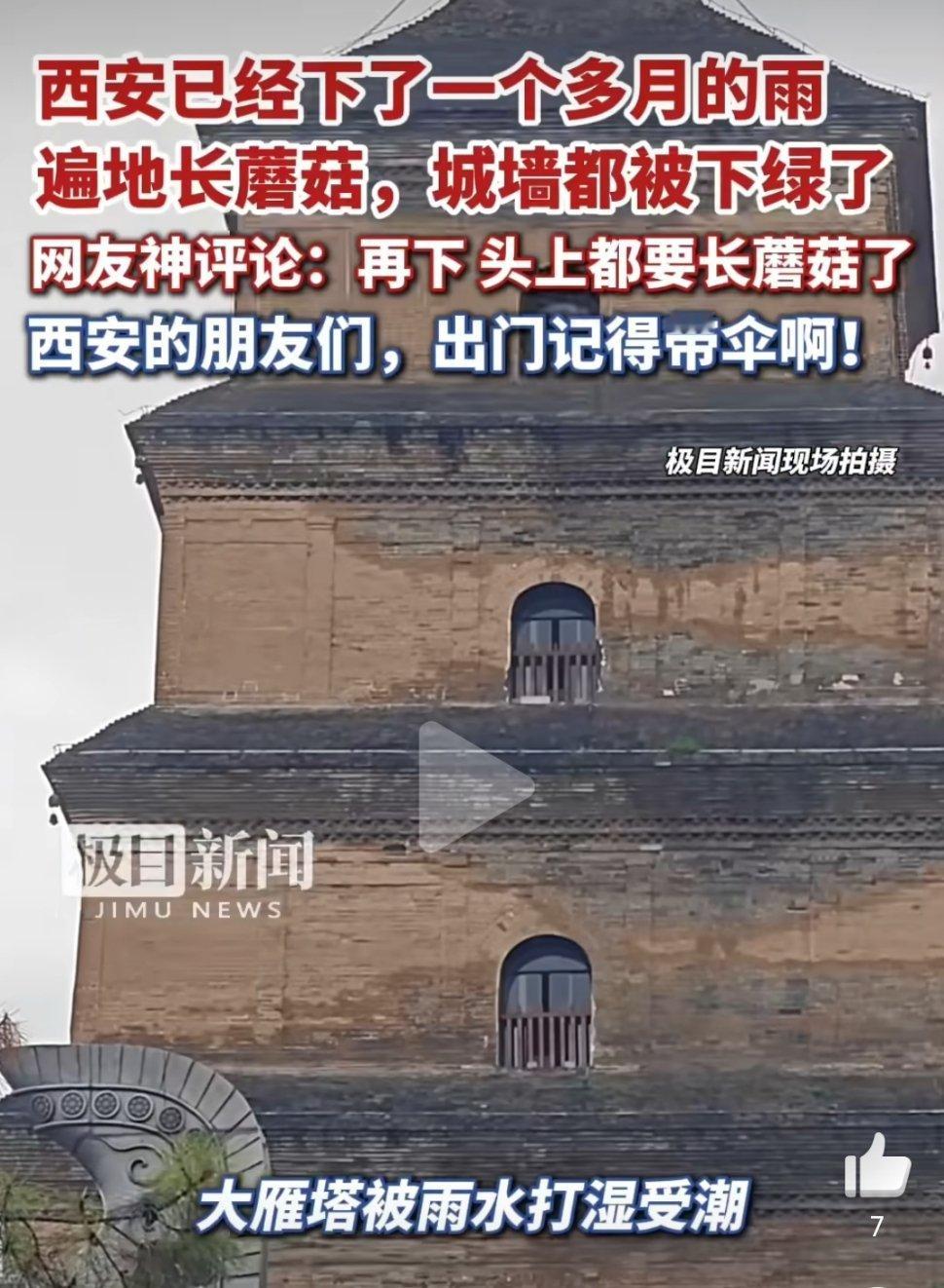 西安下了1个多月雨后遍地长蘑菇一场秋雨让西安换了模样。千年大雁塔沁出潮痕，明代城