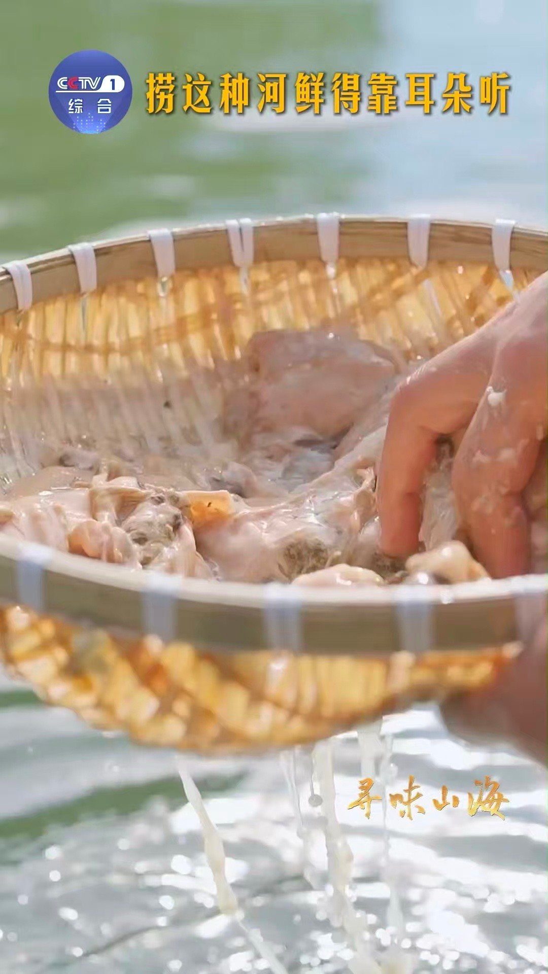 原来捞河蚌靠的是耳朵一种鲜味，始于一次倾听。德清捞蚌技艺的精髓，在于用耳朵“看