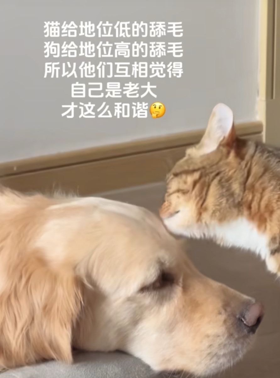 这就是最好的我们
