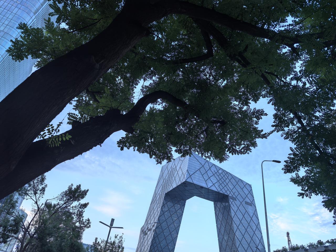 总看到别人拍大裤衩，我也在他们拍摄的位置拍一个
