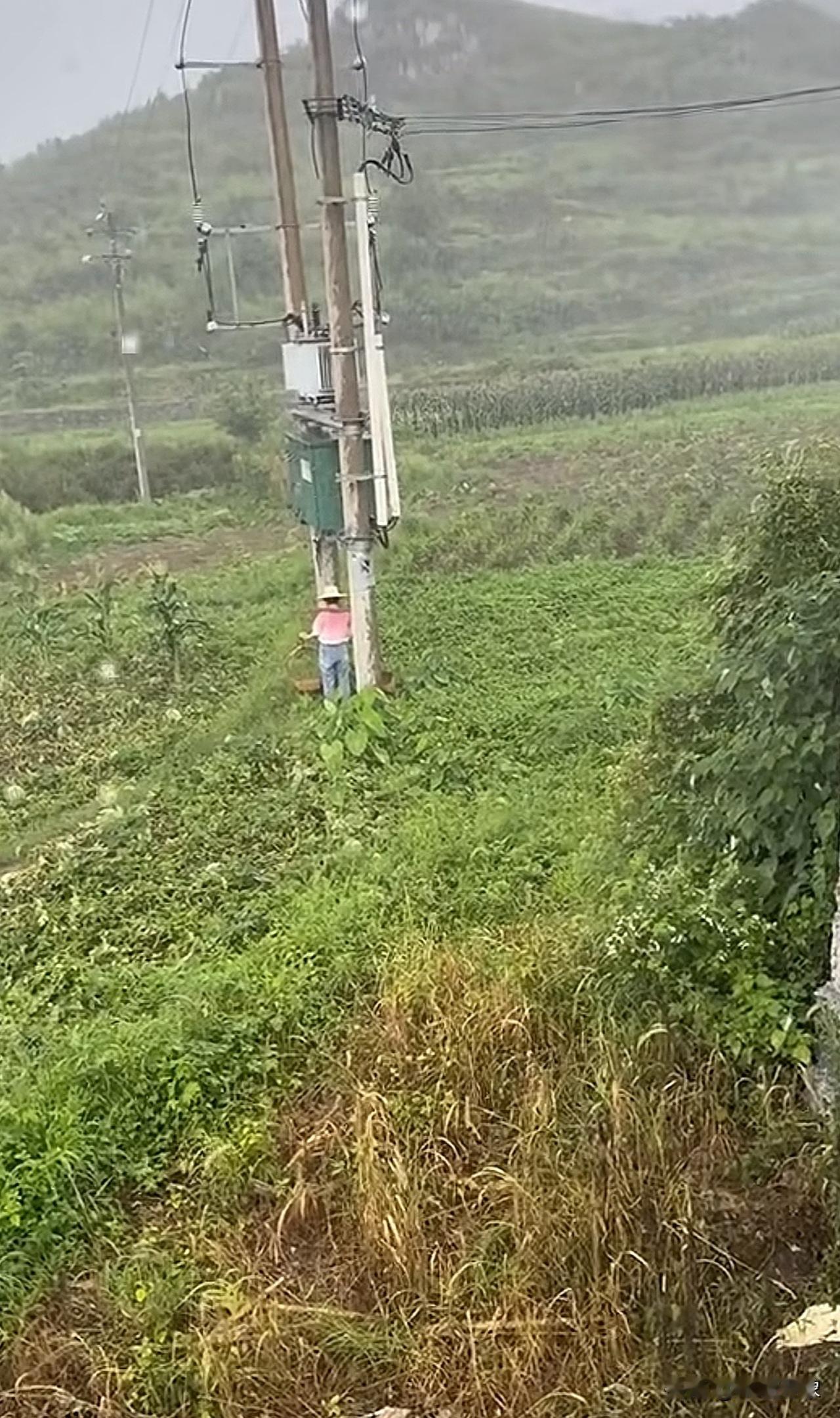 下雨了，你可真会找地方躲雨[惊恐]