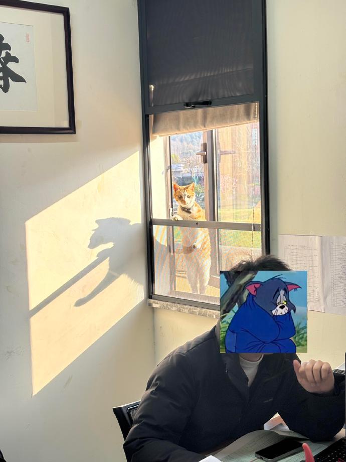 当工作地点被小咪找到