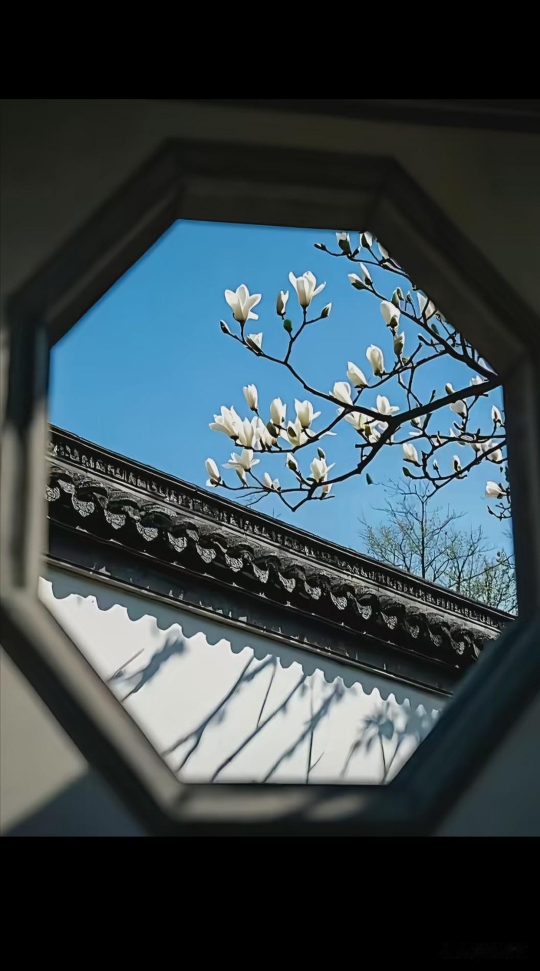 厉害的人，有4个显著的特征一、非常明确知道自己想要的是什么，然后按着目标去做，