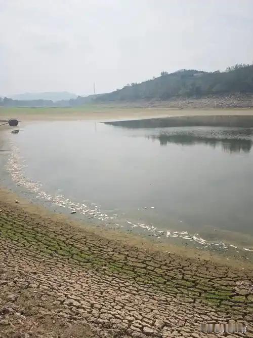 这样的村霸恐怕没几个人见过吧？霸占水库种地，国家工程往水库注水，把他的庄稼淹了，
