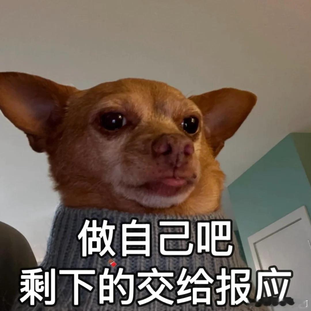 meanmean小狗表情包☺️🫰‼️✅抽象文案分享：最近状态：思钱想厚生活试