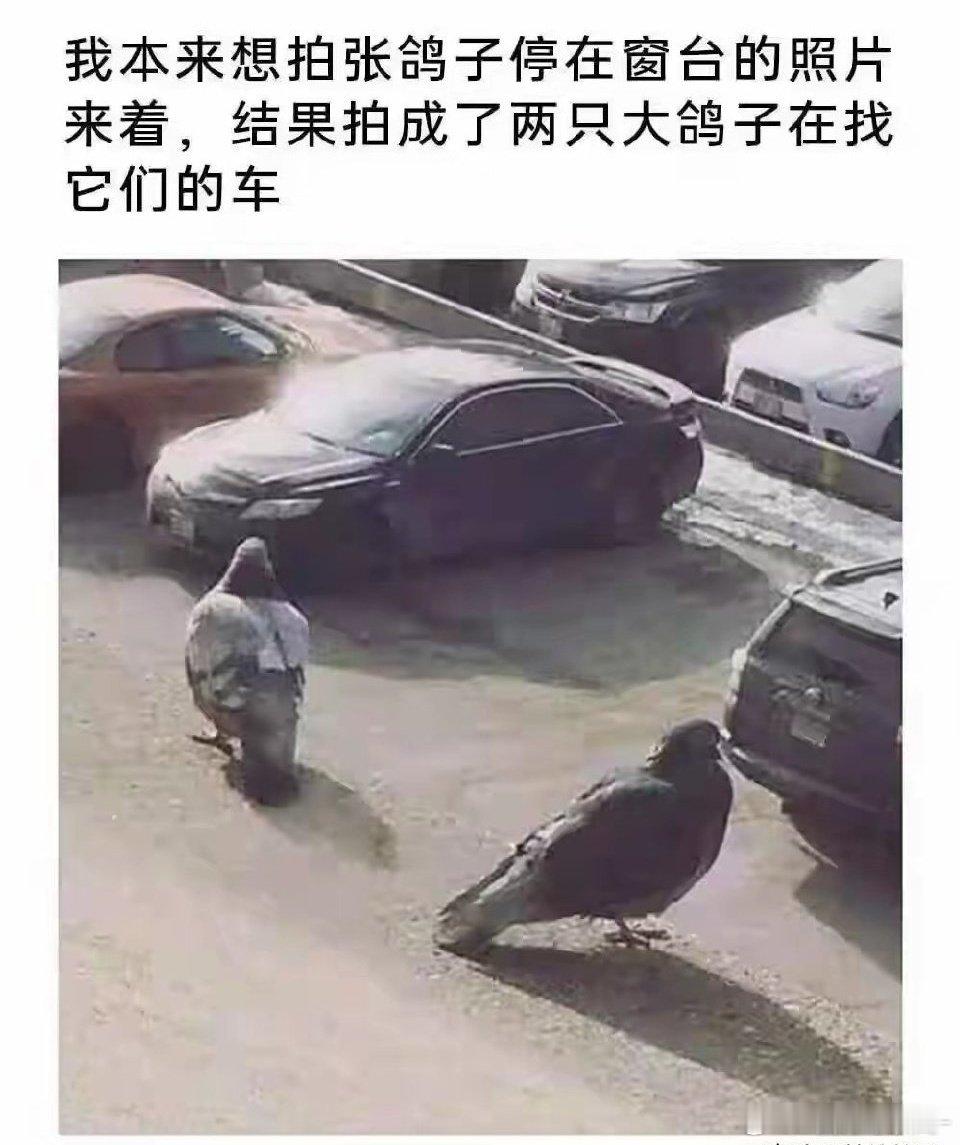 战忽局宣传处需要这样的人才，速来！