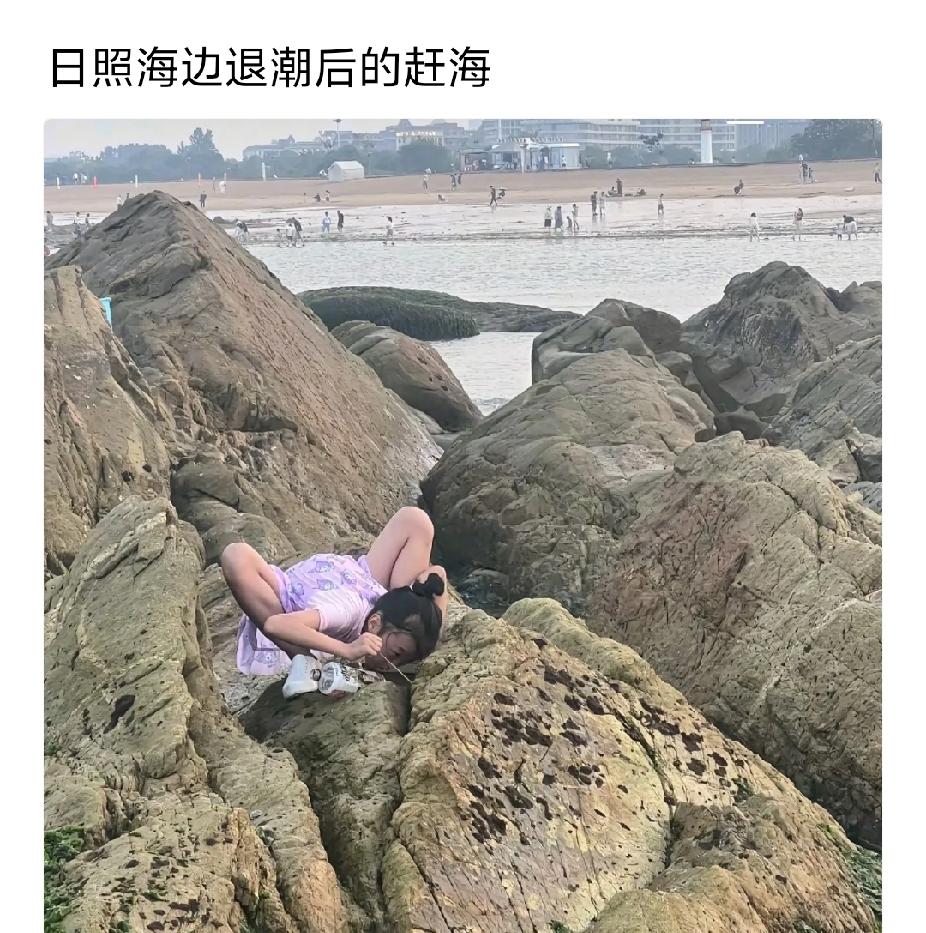 螃蟹：本是同根生，相煎何太急[哭哭][哭哭][哭哭]