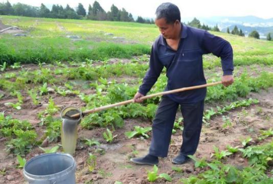 “粪水浇菜”是污染食物的源头中科院院士曾毅认为，农村人用粪水直接浇菜，完全是千百