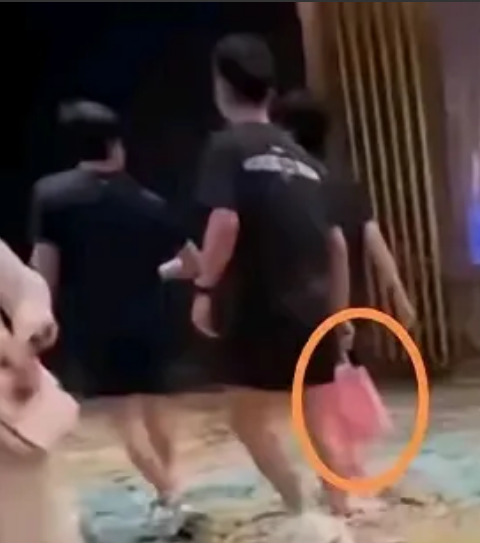 头哥、牛牛和甜甜一块儿出去找吃的，回来的时候，牛牛手里拎着个粉红色的袋子，大伙儿
