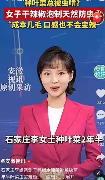 人怎么这么聪明！河北石家庄，一女子在家种青菜，结果大多被虫子吃的一干二净，女子疑