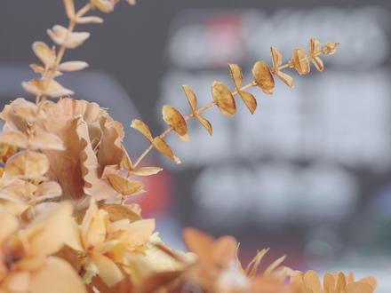 为了买这台车耗时5年，我后悔了吗？