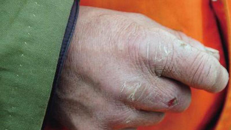 5491494740099552786.jpg?id=0