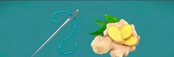 〔看图猜地名〕谐音猜地名字好；图中有针还有姜；猜个江苏的城市；就等你来把