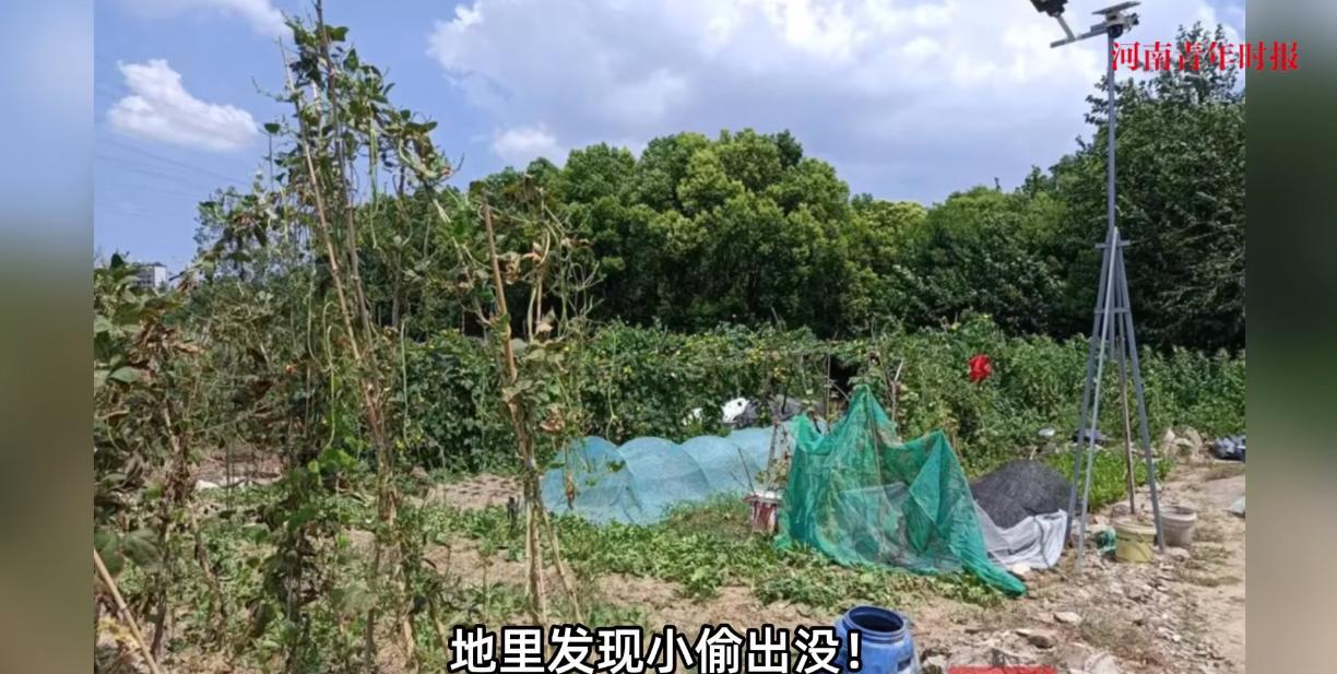 “太缺德了！”8月17日，安徽合肥，两位年轻女子趁着凌晨3点人少的时候，偷偷来到