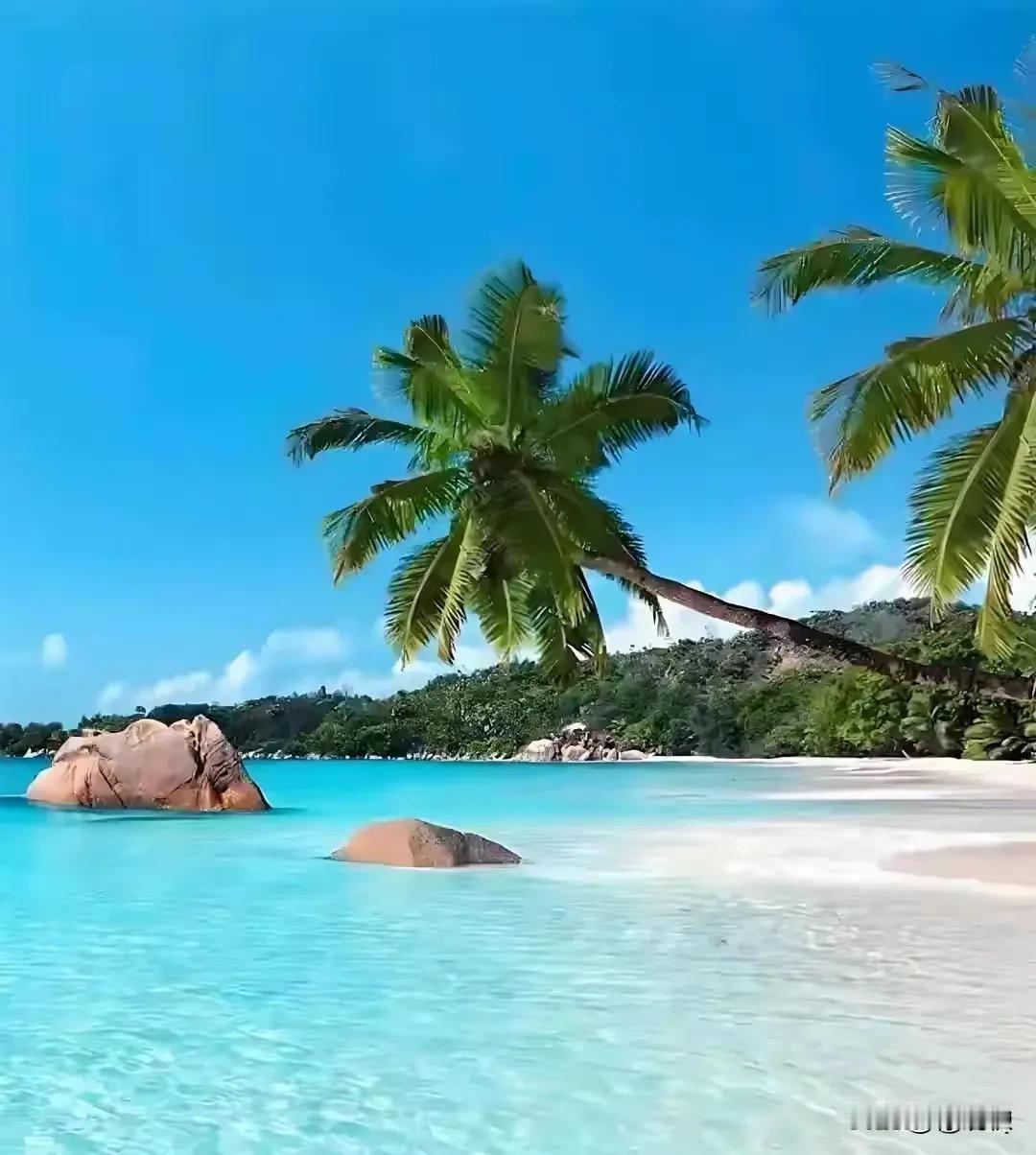 天涯海角在海南，北国风光在东北。