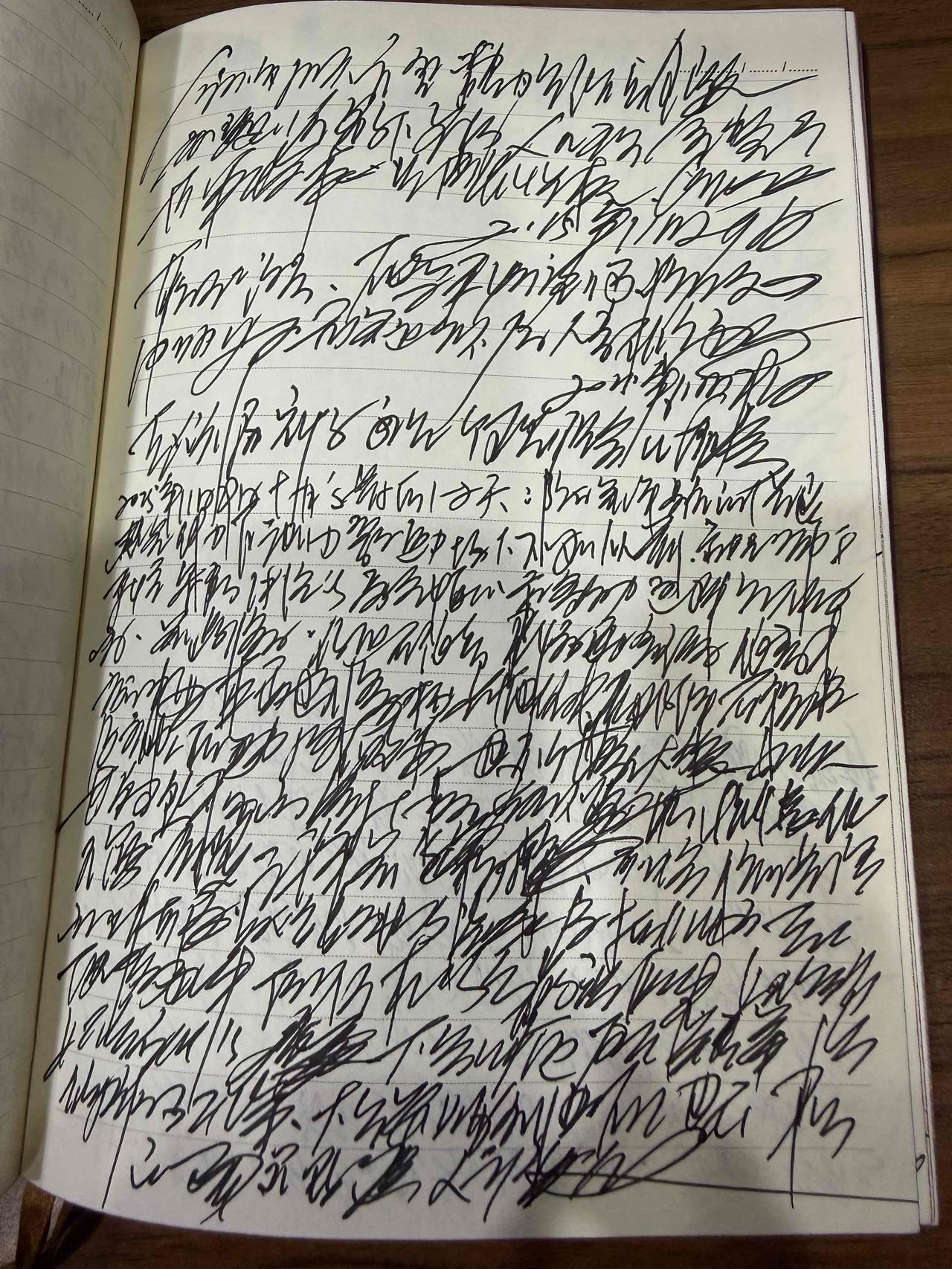 我写的狂草硬笔书法，有谁认得吗