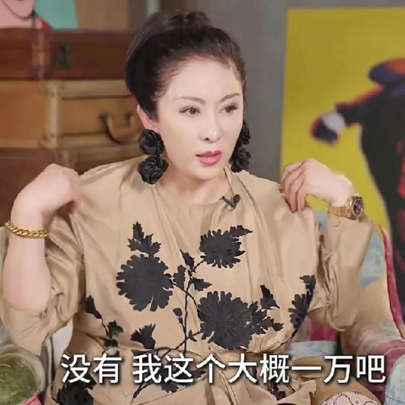太讽刺了！向太摸着自己身上的衣服说：“我现在不追求奢侈品牌了，我身上这件衣服是国