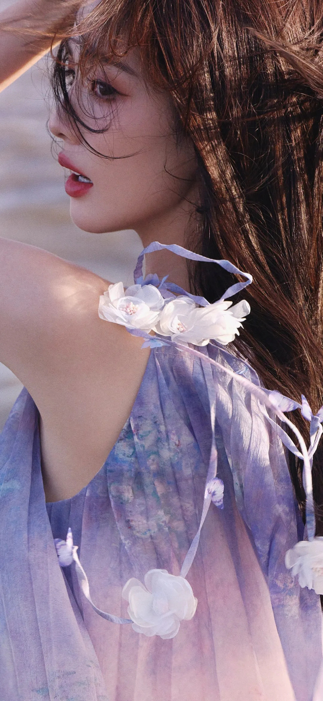 白鹿壁纸，紫色甜美​​​