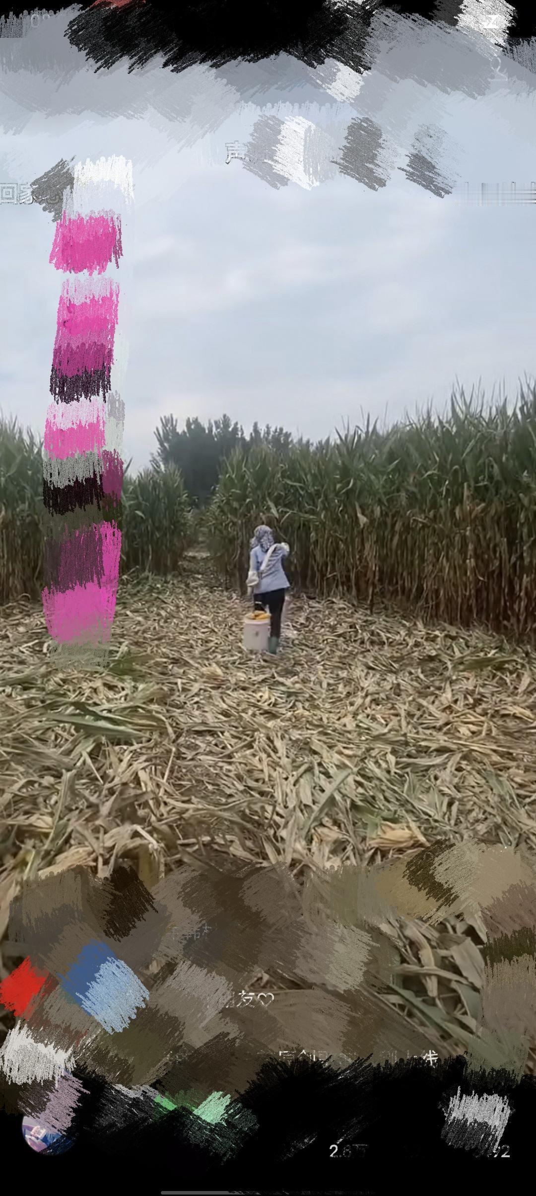 当你知道别人偷偷的把家的活给干完是啥心情吗？因为老公昨天上班没回去，今天大姑姐