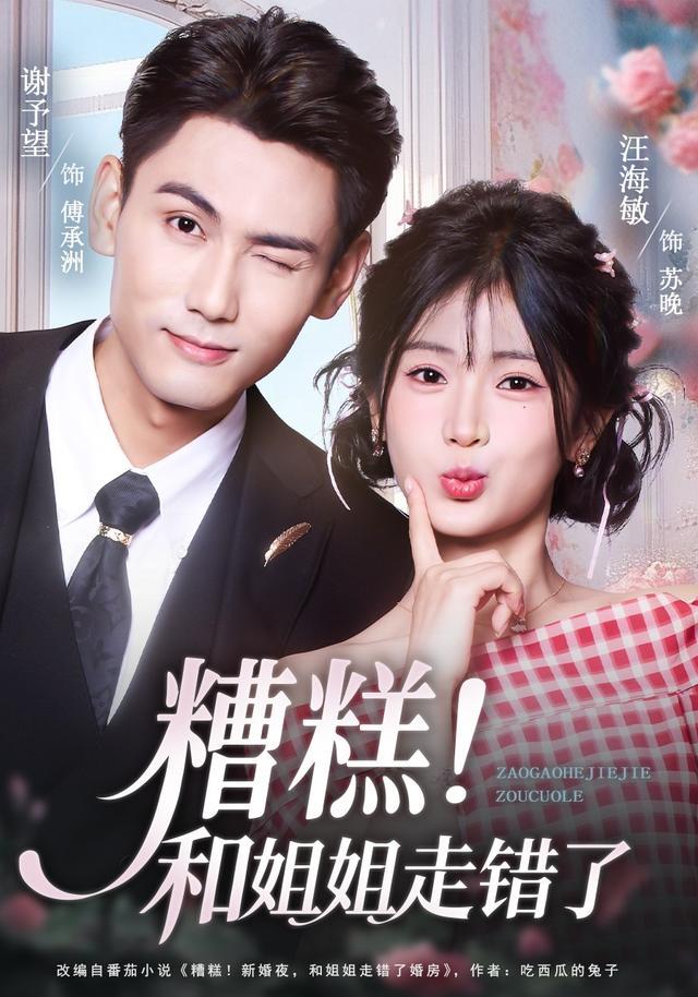 推荐一部由汪海敏、谢予望领衔主演的的124集都市情感短剧《糟糕!和姐姐走错了》给