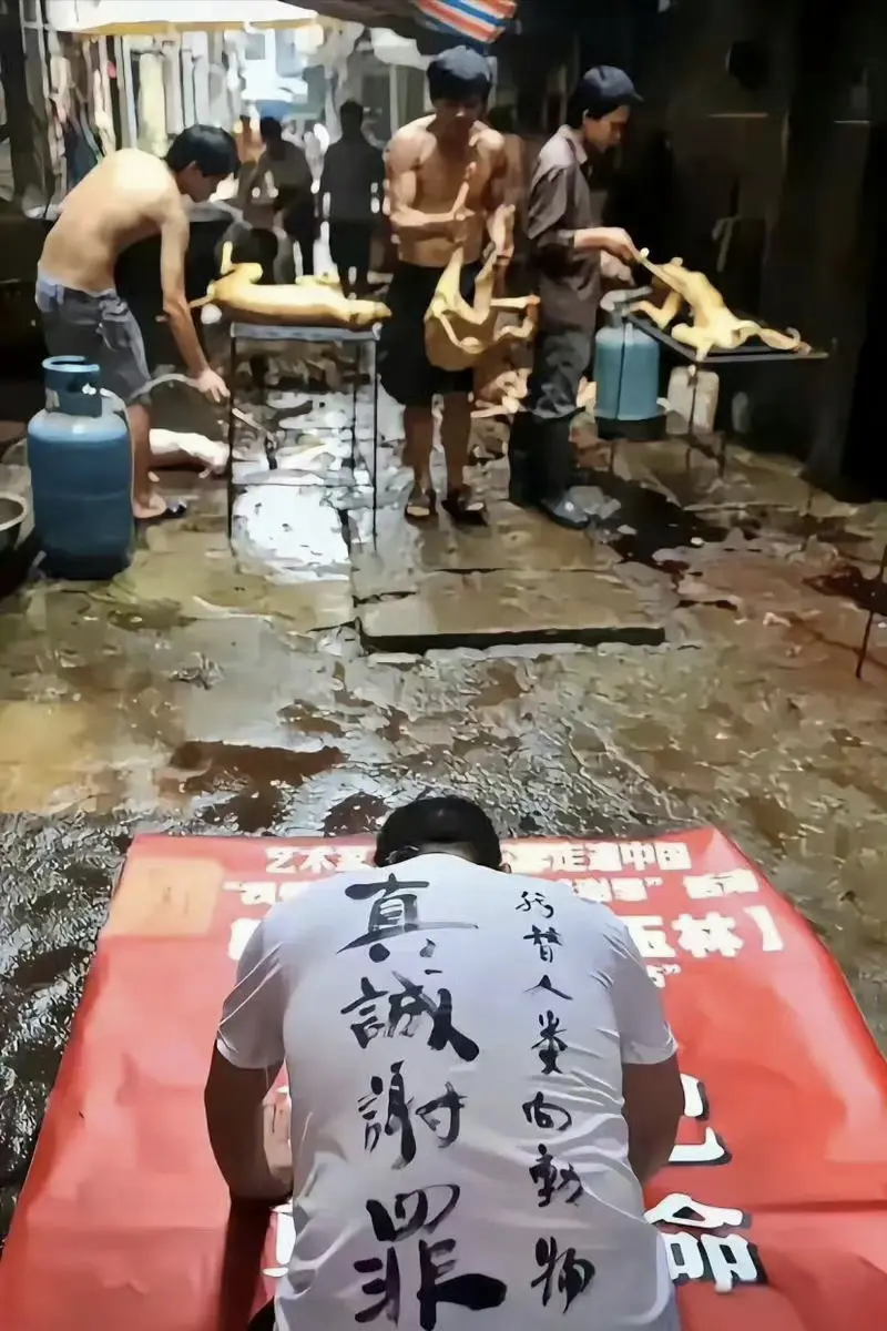 广西玉林，爱狗人士替人类下跪谢罪……