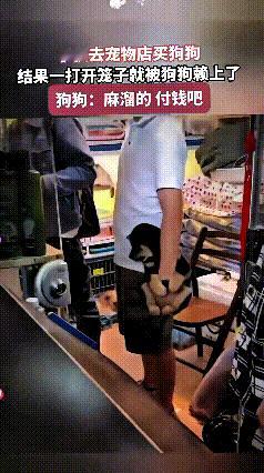 看到这视频给我笑出声啦！这小伙儿去宠物店挑小狗嘞，刚摸着这小黑狗，好家伙，这小狗