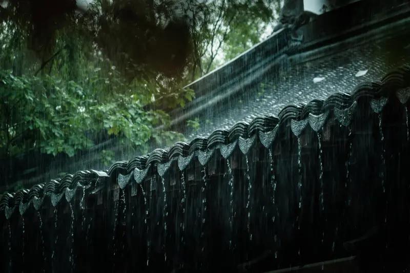 每日禅语生活宛如一场漫长的雨，不必匆忙躲雨。在雨中漫步，倾听雨滴细语，感受那份