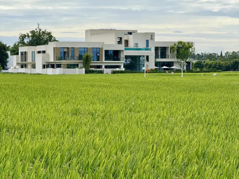 看到“清风本无意”这句上联，顿觉意境悠远。我认为“流水自多情”堪称绝妙下联。在意