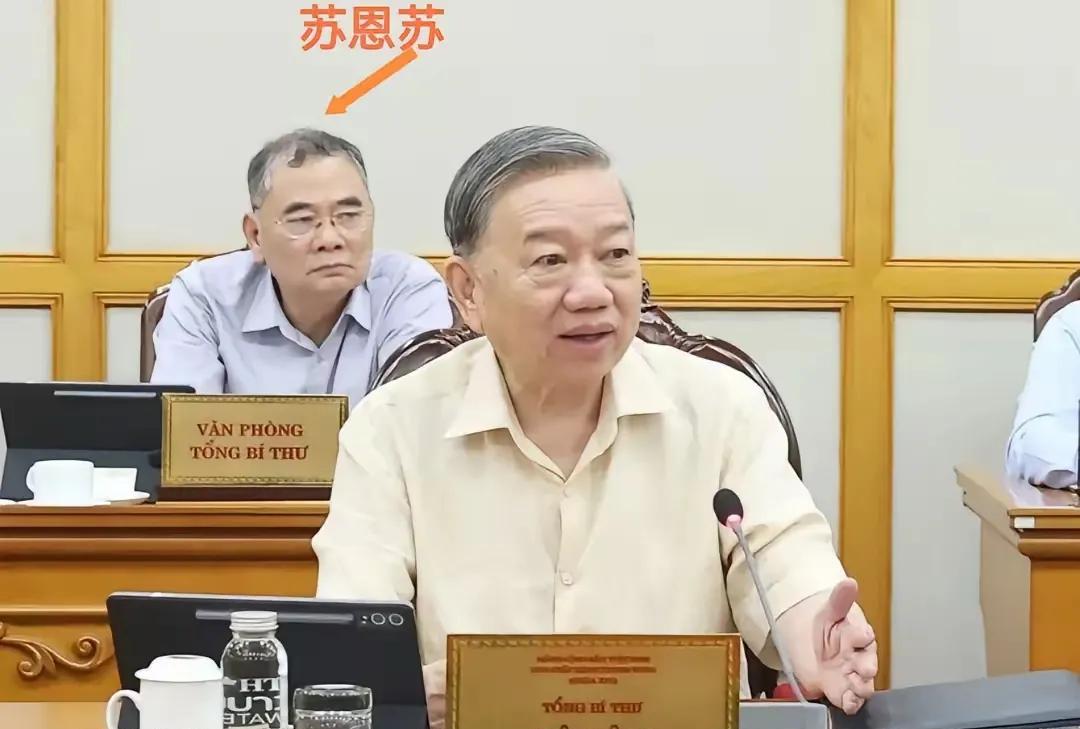 苏恩苏现任越南苏林的助理，同时还兼任其办公室负责人，中将军衔。他1963