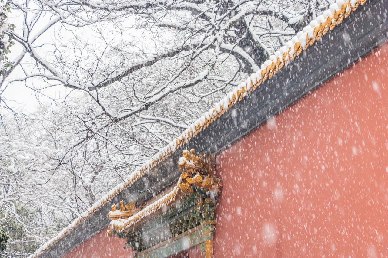 拍过的，最喜欢的，南京雪景