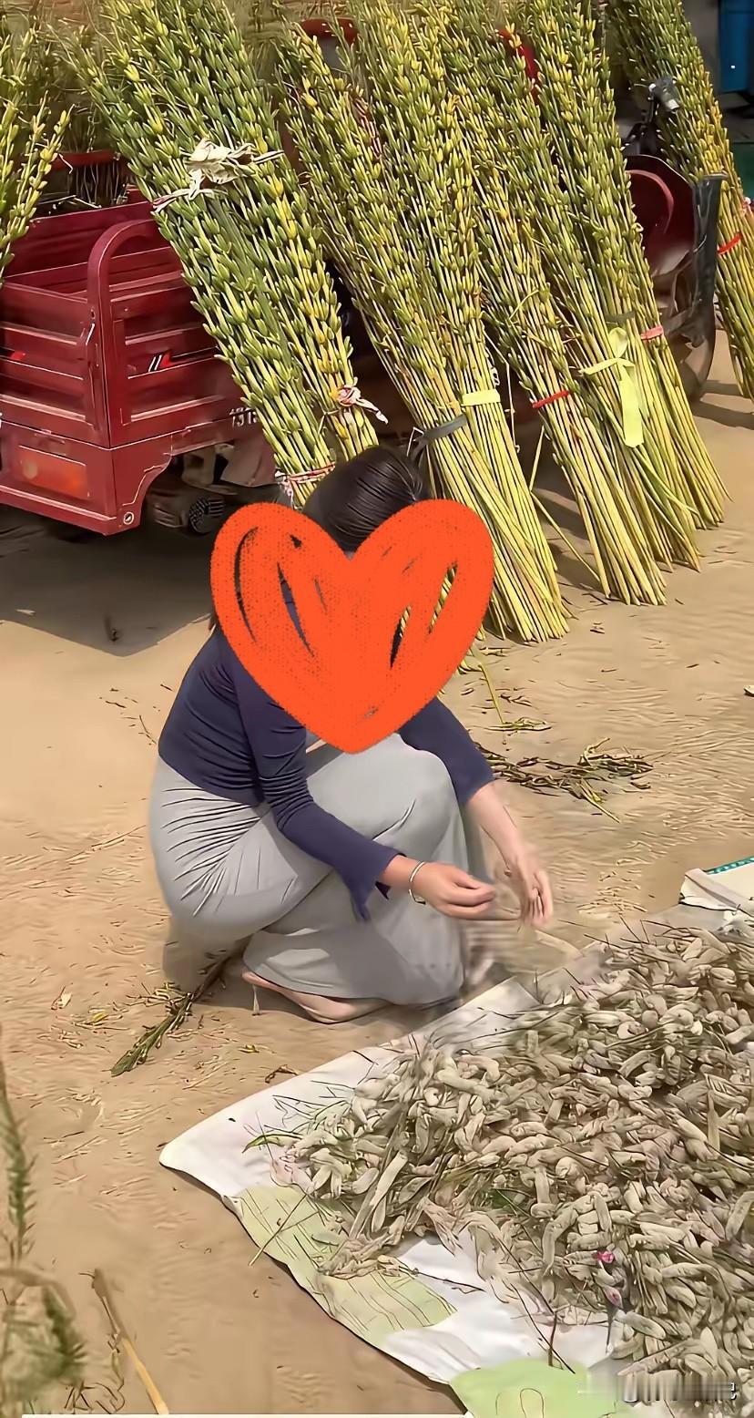 谁能告诉我，靠三轮车摆放的是什么东西。