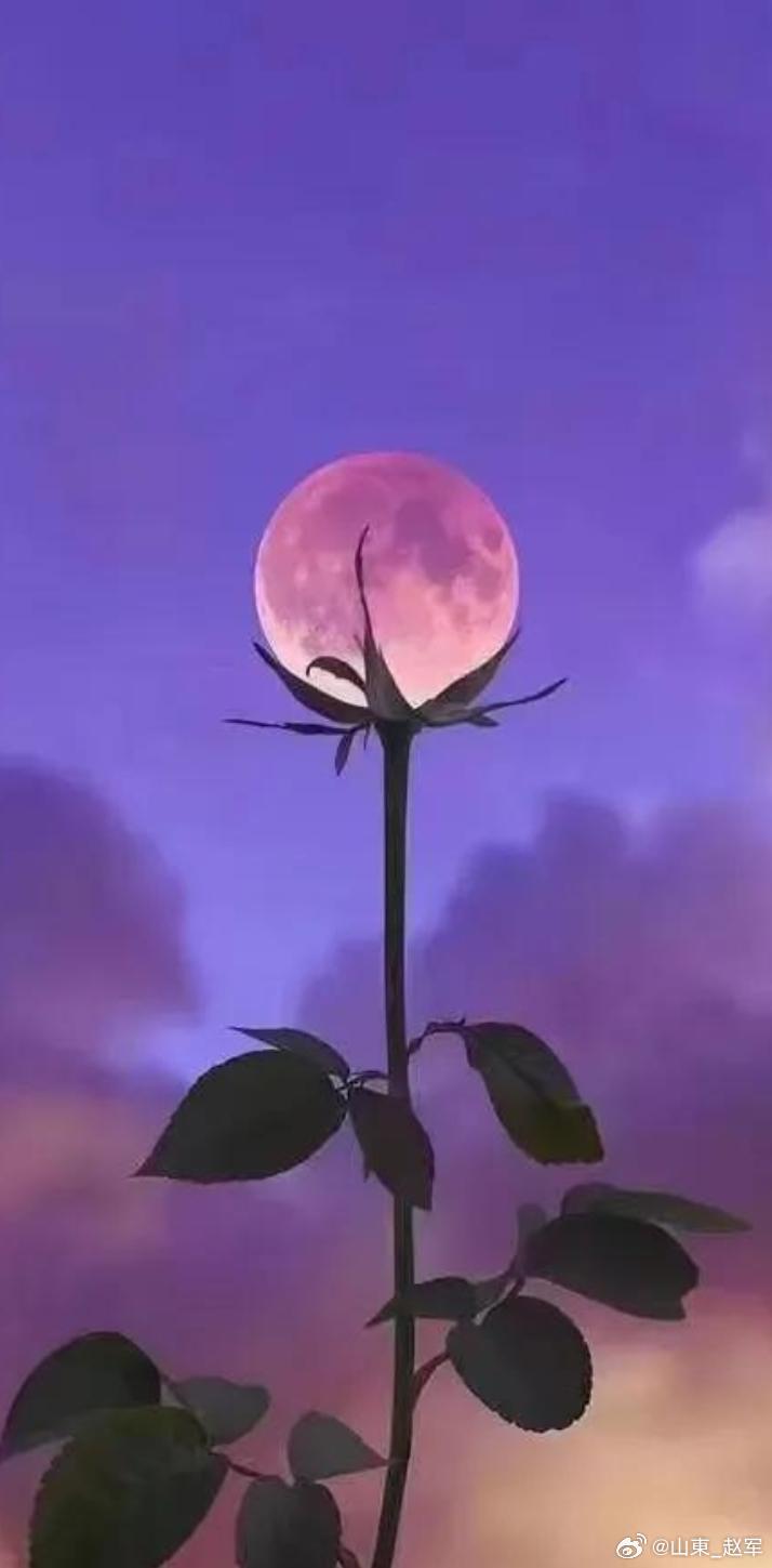 养血安神通窍汤，熟地枣仁远志当，茯神龙骨芎甘草，服后安然入梦乡。安神定志丸的组成