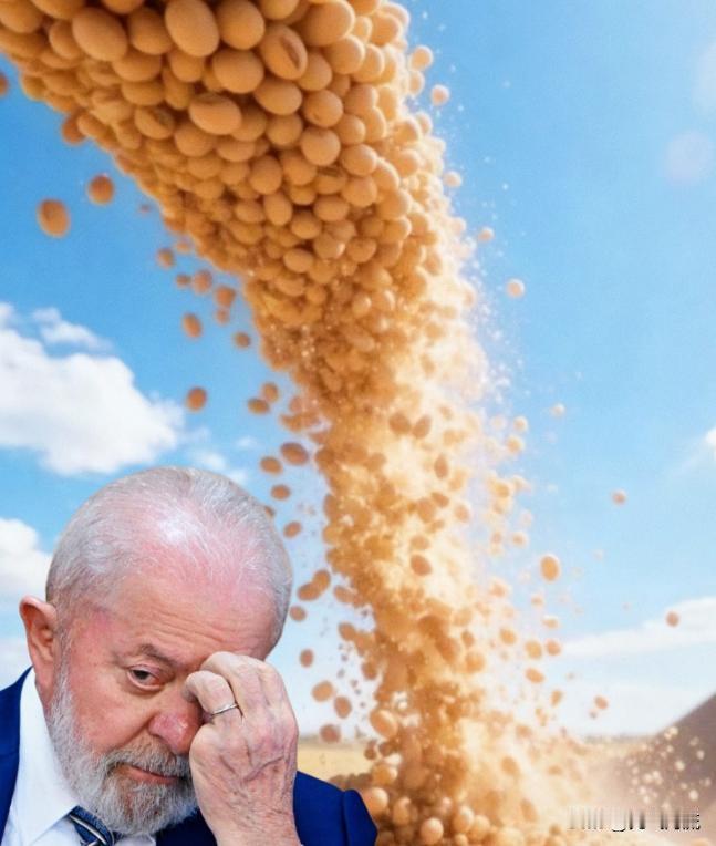 中国大豆“变脸”，谁也没想到吧巴西大豆涨价了，还涨了不少，一下子从580美元涨