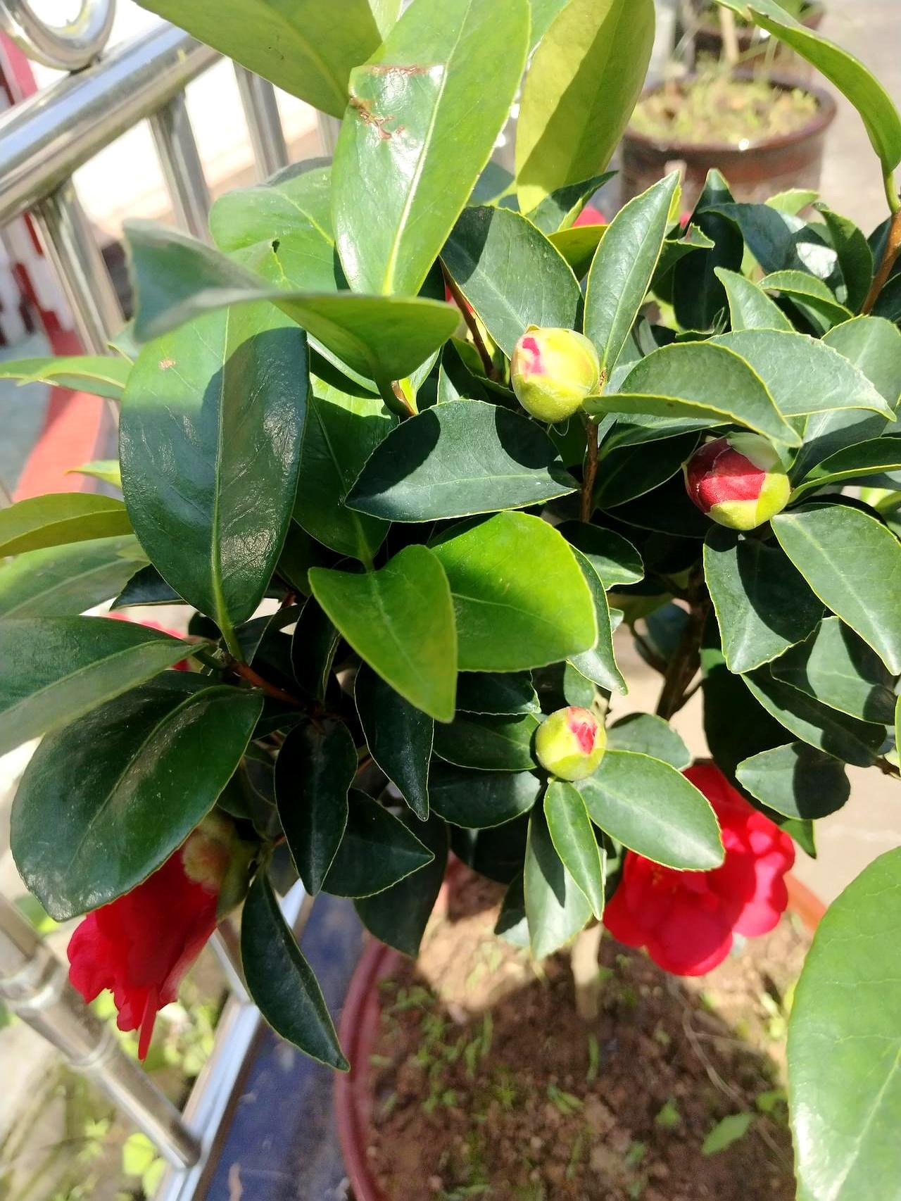 你敢信吗？98岁老母亲一跪，三个儿子两个媳妇接连出事，剩下那个媳妇吓得连面都不