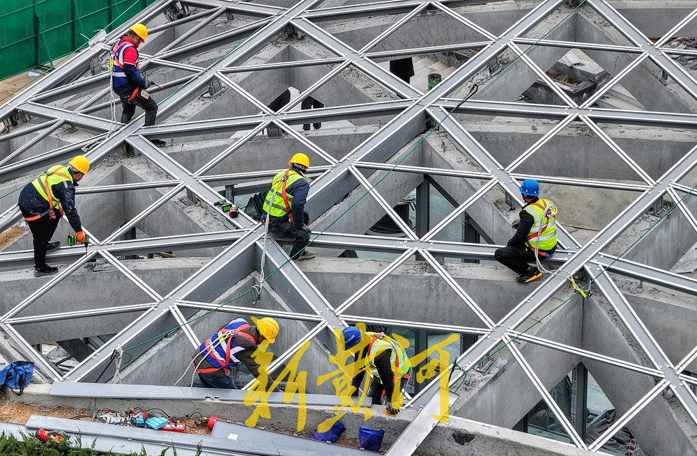 济南最浅地铁站露花容