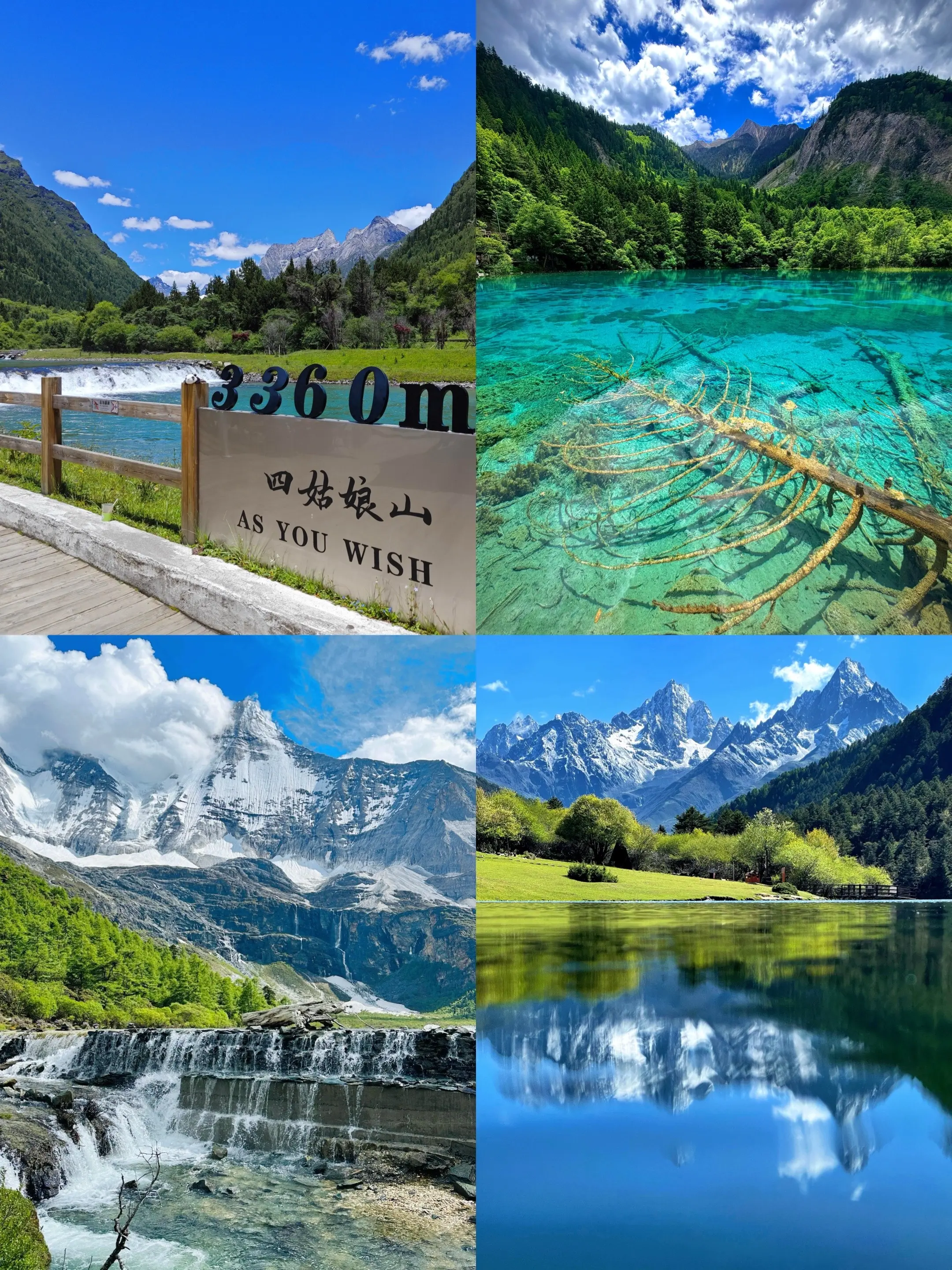 川西｜夏天正是去川西的时候 夏天就应该来川西！！！现在是最美的季节，每...
